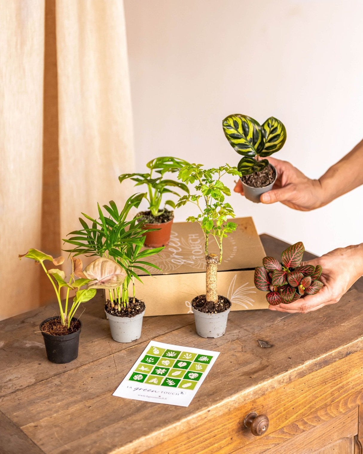 The Green Box - Scatola per piante da bambino