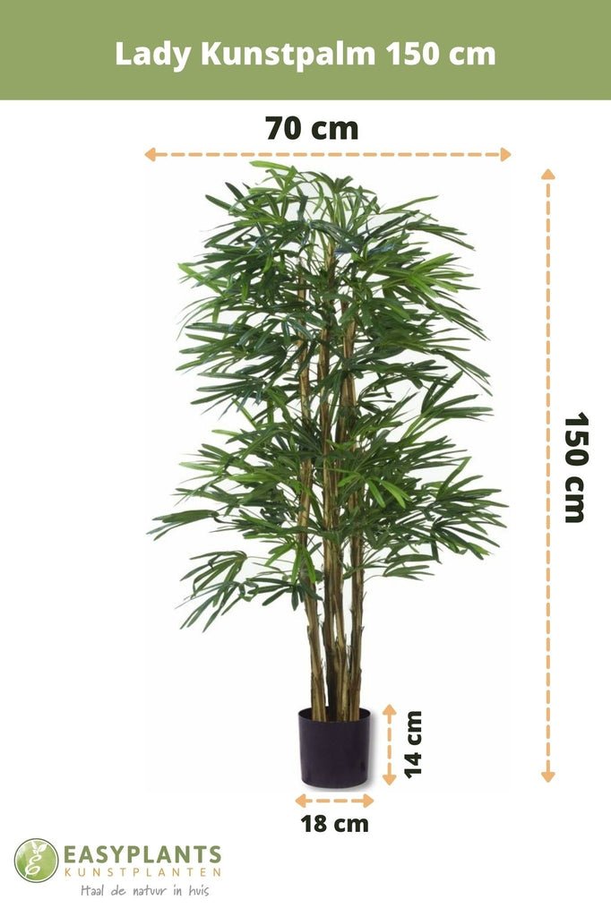 Livraison plante Lady Bambou artificiel