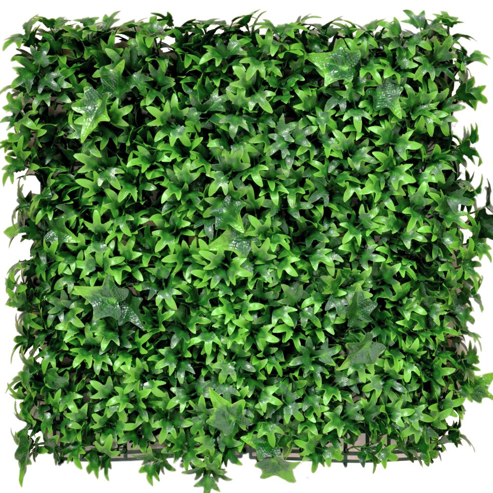 Livraison plante Lierre - mur végétal artificiel