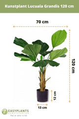 Livraison plante Lucuala Grandis - grande plante artificielle