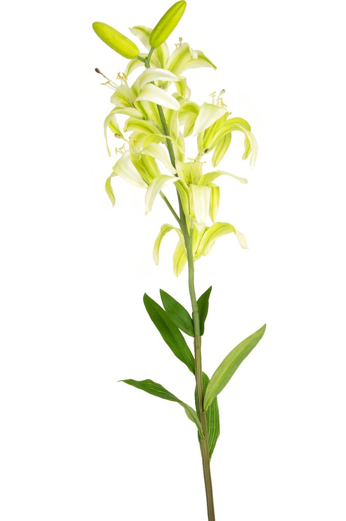 Livraison plante Lys Martagon blanc artificiel