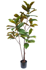 Livraison plante Magnolia - grande plante artificielle