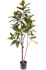 Livraison plante Magnolia Yulania - Arbre artificiel