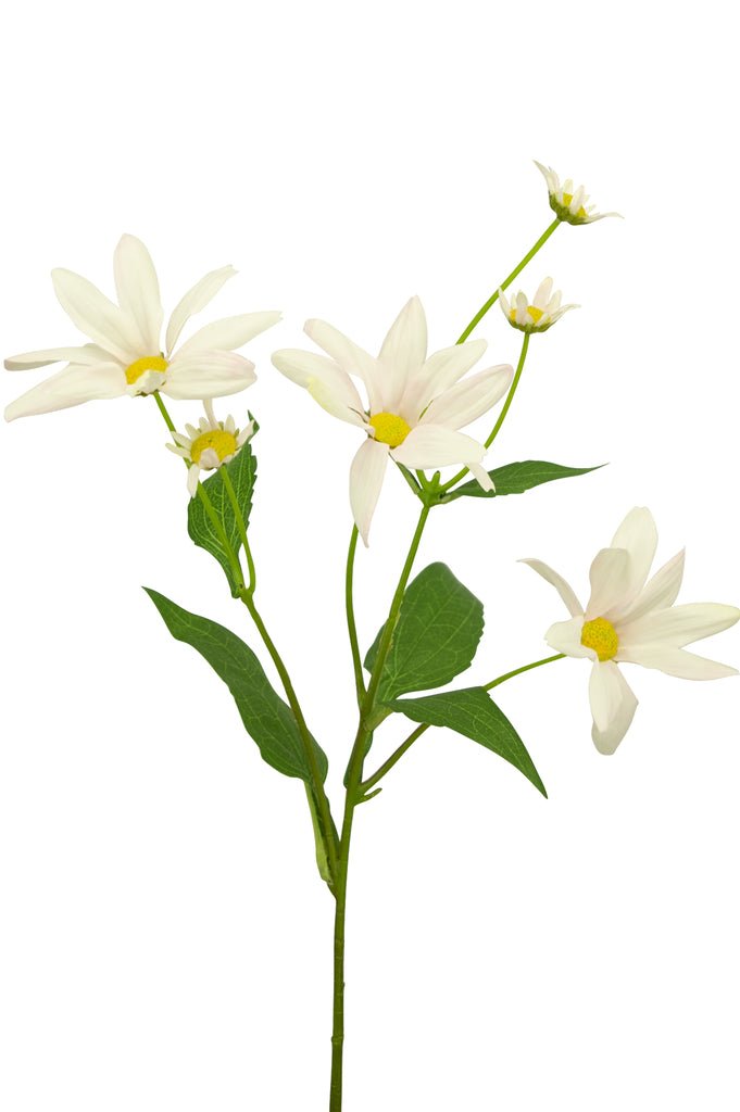 Livraison plante Marguerite artificielle blanc/rose