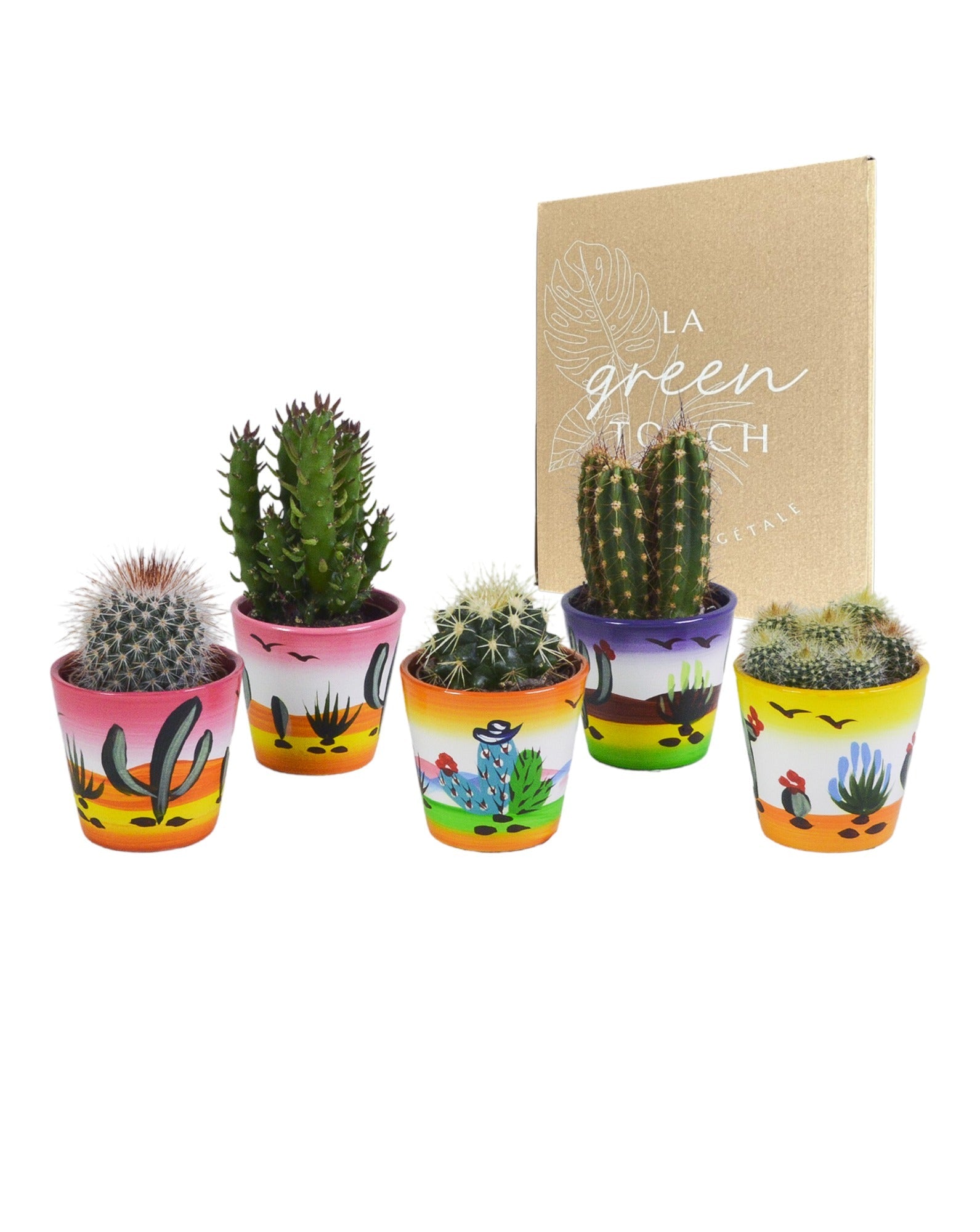 Pots Décoratifs Pour Plantes Succulentes - France