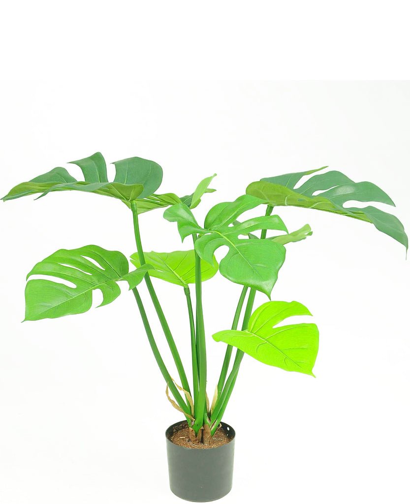 Livraison plante Monstera Deluxe - Plante verte artificielle