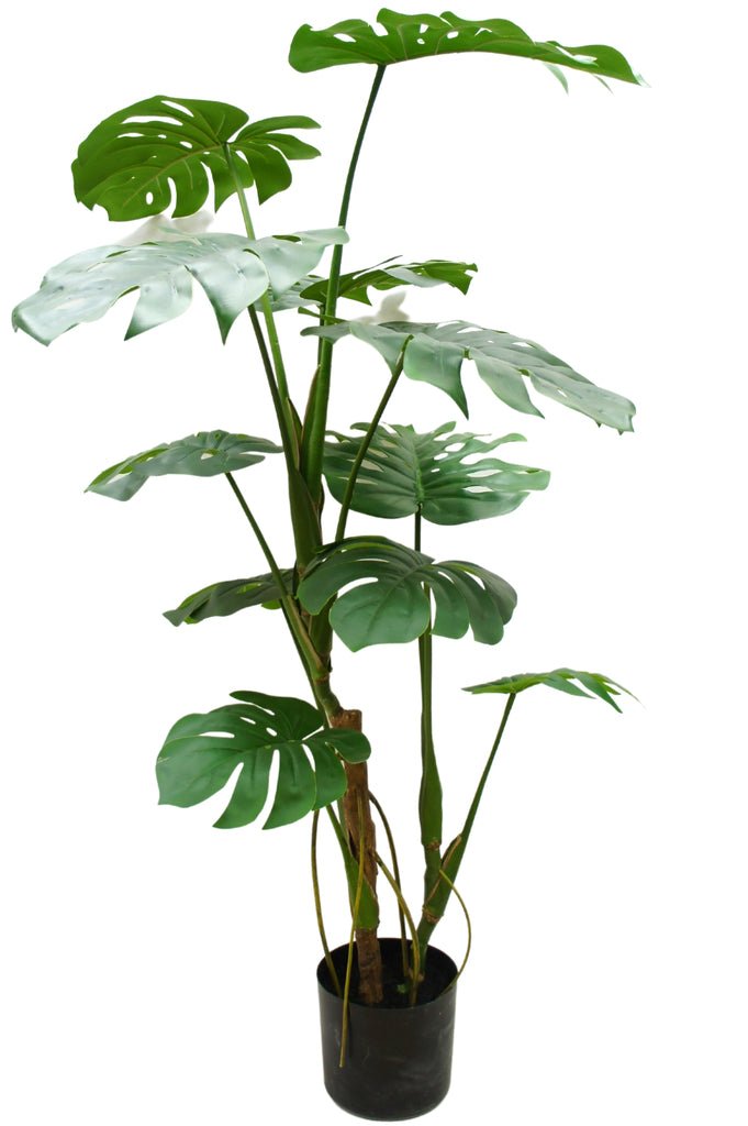 Livraison plante Monstera - grande plante artificielle