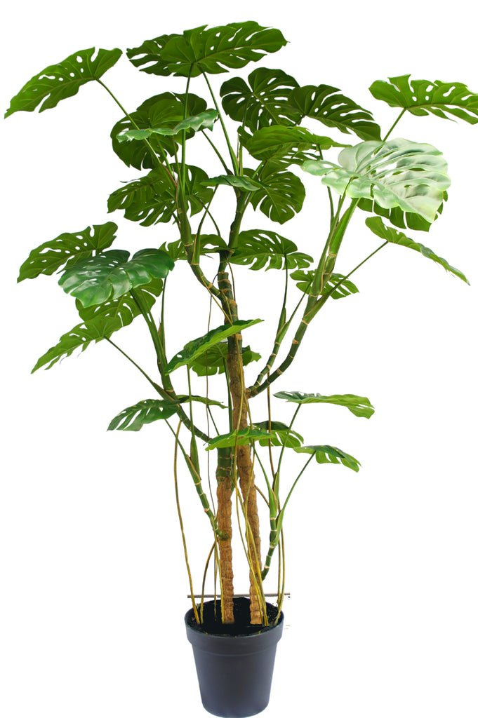 Livraison plante Monstera - grande plante artificielle