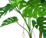Livraison plante Monstera sur tige - grande plante artificielle