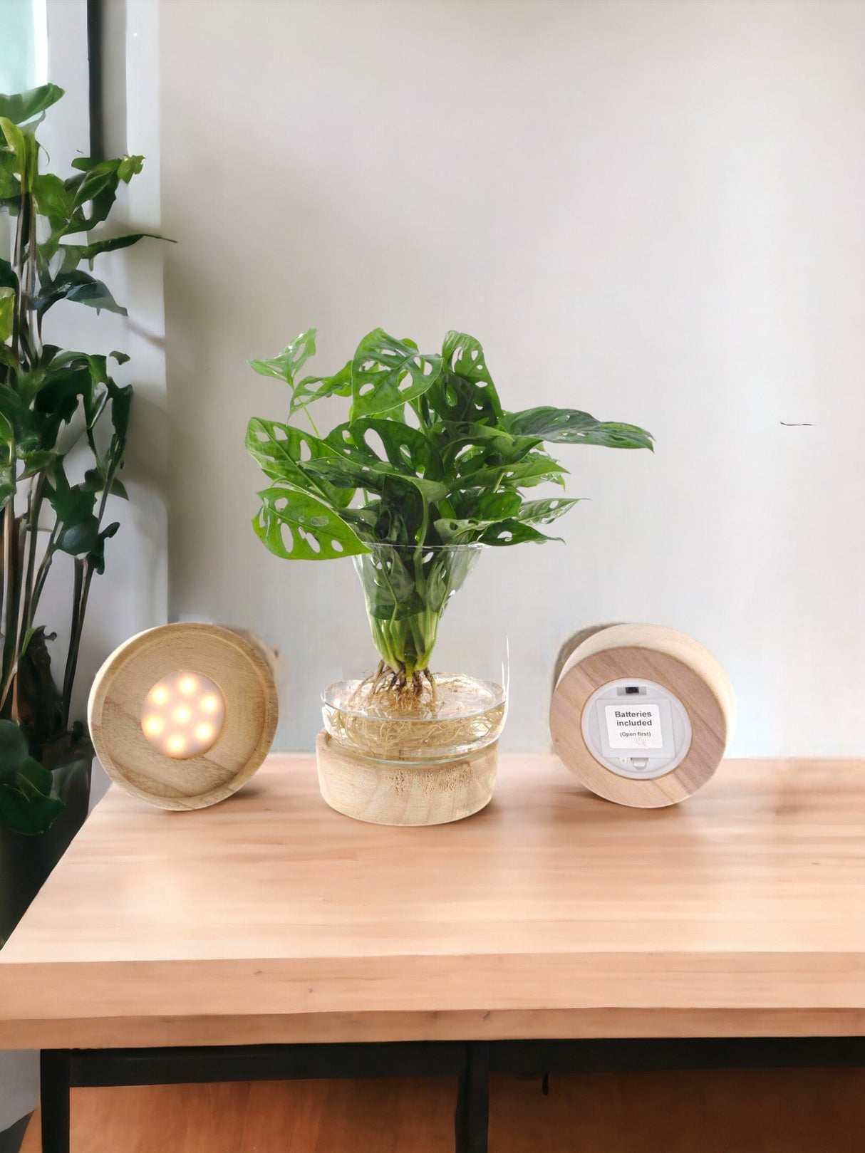 Livraison plante Monstera Vase et socle Led