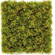 Livraison plante Mousse nordique - mur végétal artificiel
