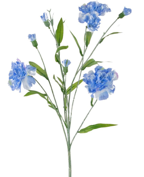 Livraison plante Œillet artificiel bleu