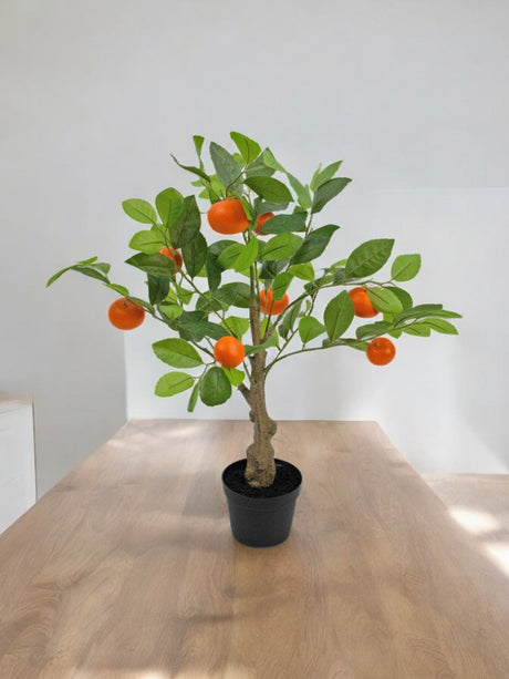 Livraison plante Oranger - Arbre artificiel