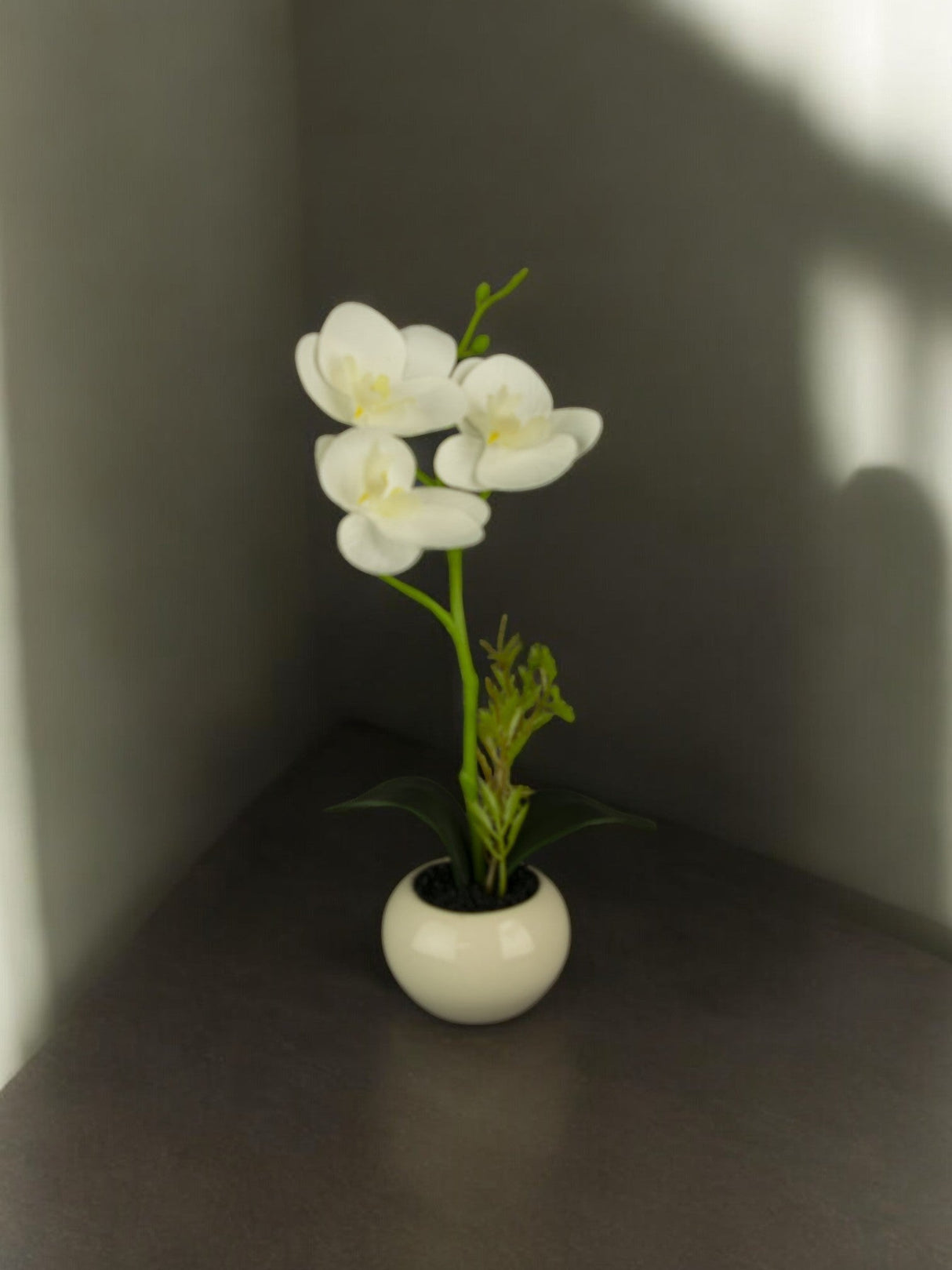 Livraison plante Orchidée artificielle blanche en pot