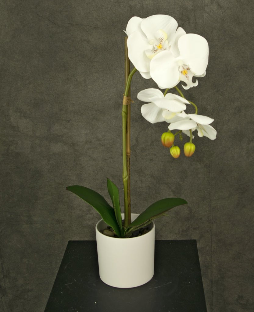 Livraison plante Orchidée artificielle blanche en pot blanc