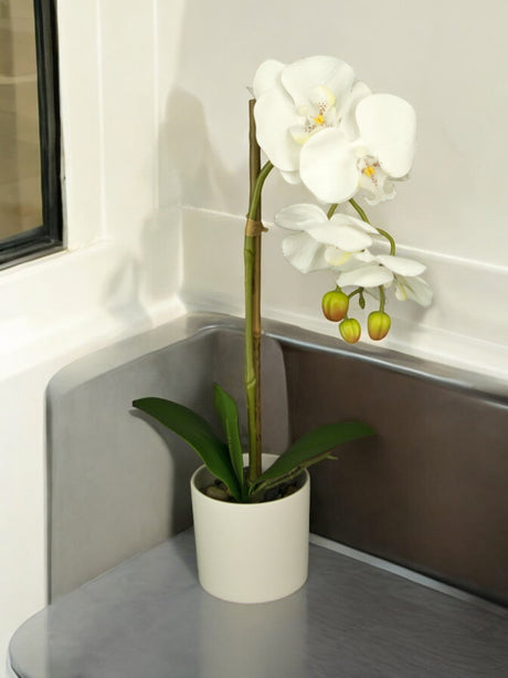 Livraison plante Orchidée artificielle blanche en pot blanc