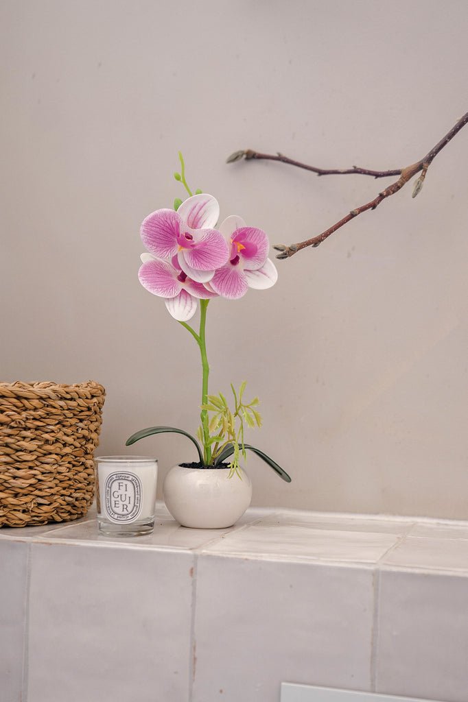 Livraison plante Orchidée artificielle blanc/rose en pot