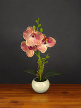 Livraison plante Orchidée artificielle rose en pot