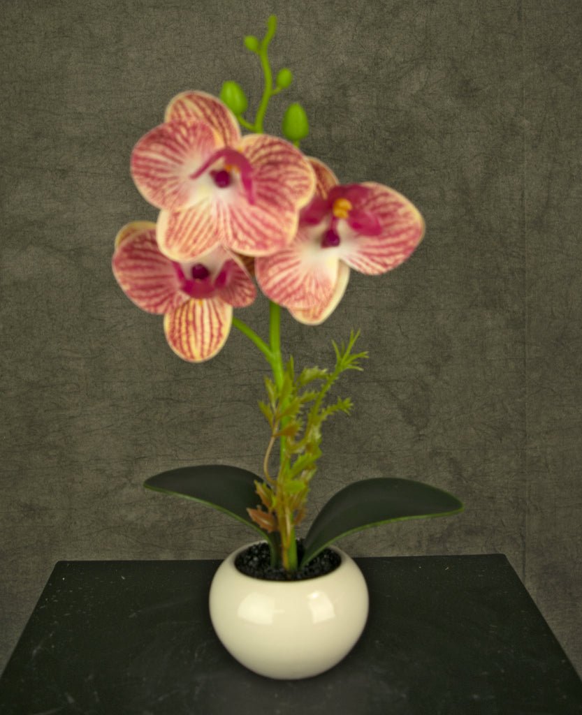 Livraison plante Orchidée artificielle rose en pot