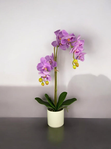 Livraison plante Orchidée artificielle rose en pot blanc