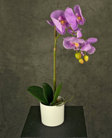 Livraison plante Orchidée Artificielle rose en pot blanc