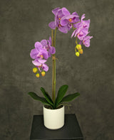 Livraison plante Orchidée artificielle rose en pot blanc