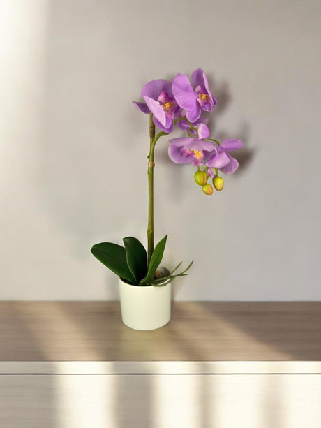 Livraison plante Orchidée Artificielle rose en pot blanc