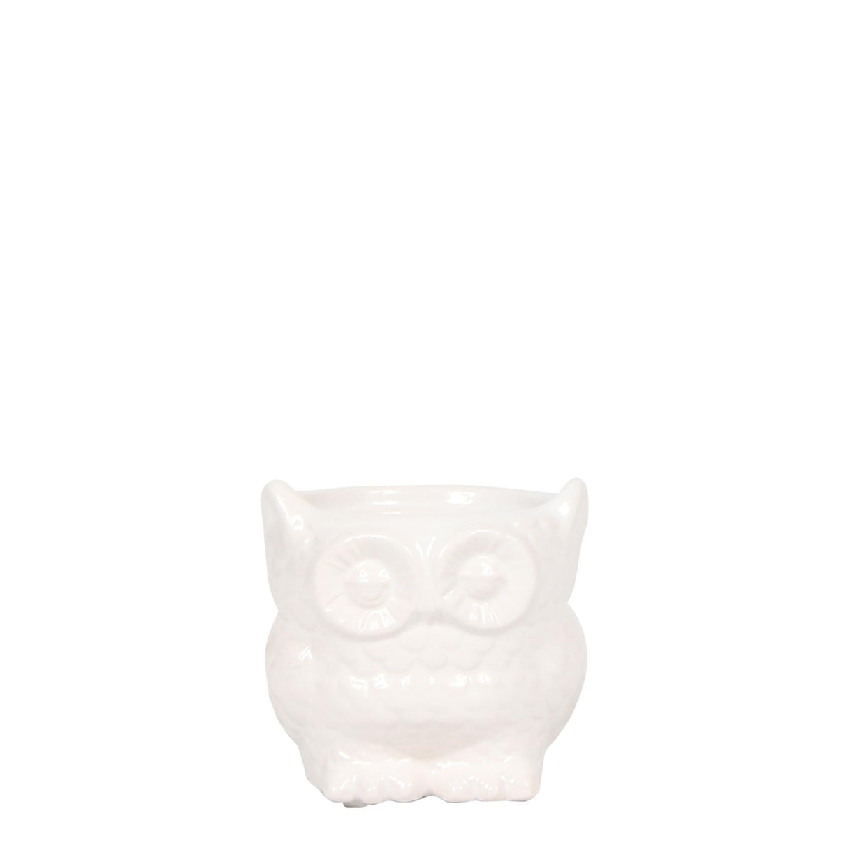 Livraison plante Owl Bloempot - Pot Hibou en Céramique Blanche