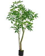 Livraison plante Pachira - Arbre artificiel