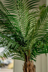 Livraison plante Palmier Phoenix De Luxe - Arbre artificiel