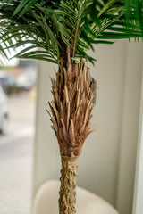 Livraison plante Palmier Phoenix De Luxe - Arbre artificiel
