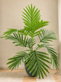 Livraison plante Palmier Phoenix - Plante verte artificielle