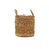 Livraison plante Panier Jack - 34x31