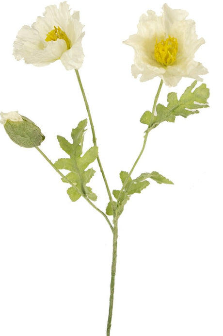 Livraison plante Pavot artificiel blanc