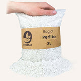 Livraison plante Perlite - 3L