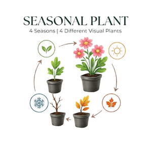 Livraison plante Petit calament