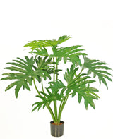 Livraison plante Philodendron xanadu - Plante verte artificielle