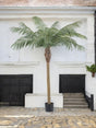 Livraison plante Phoenix - Grand palmier artificiel