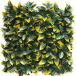 Livraison plante Photonia jaune - mur végétal artificiel