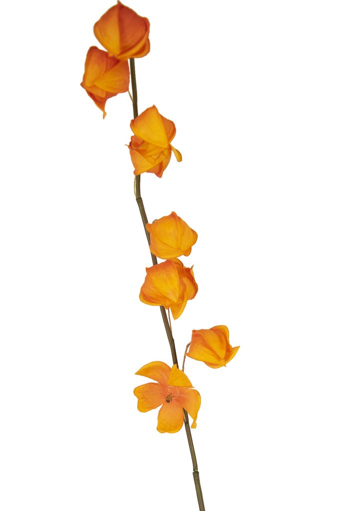 Livraison plante Physalis Lampion orange - Branche fleurie artificielle