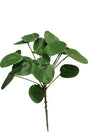Livraison plante Pilea peperomioides - Feuillage Artificiel
