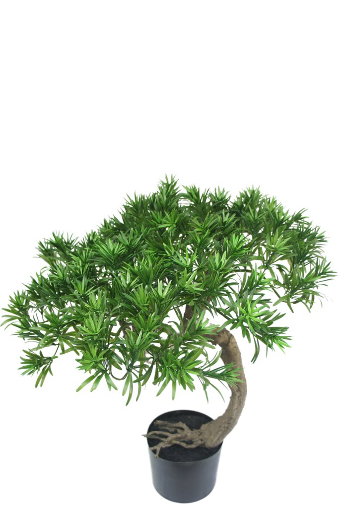 Livraison plante Pin - bonsai artificiel