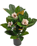 Livraison plante Plante Artificielle Magnolia en Pot