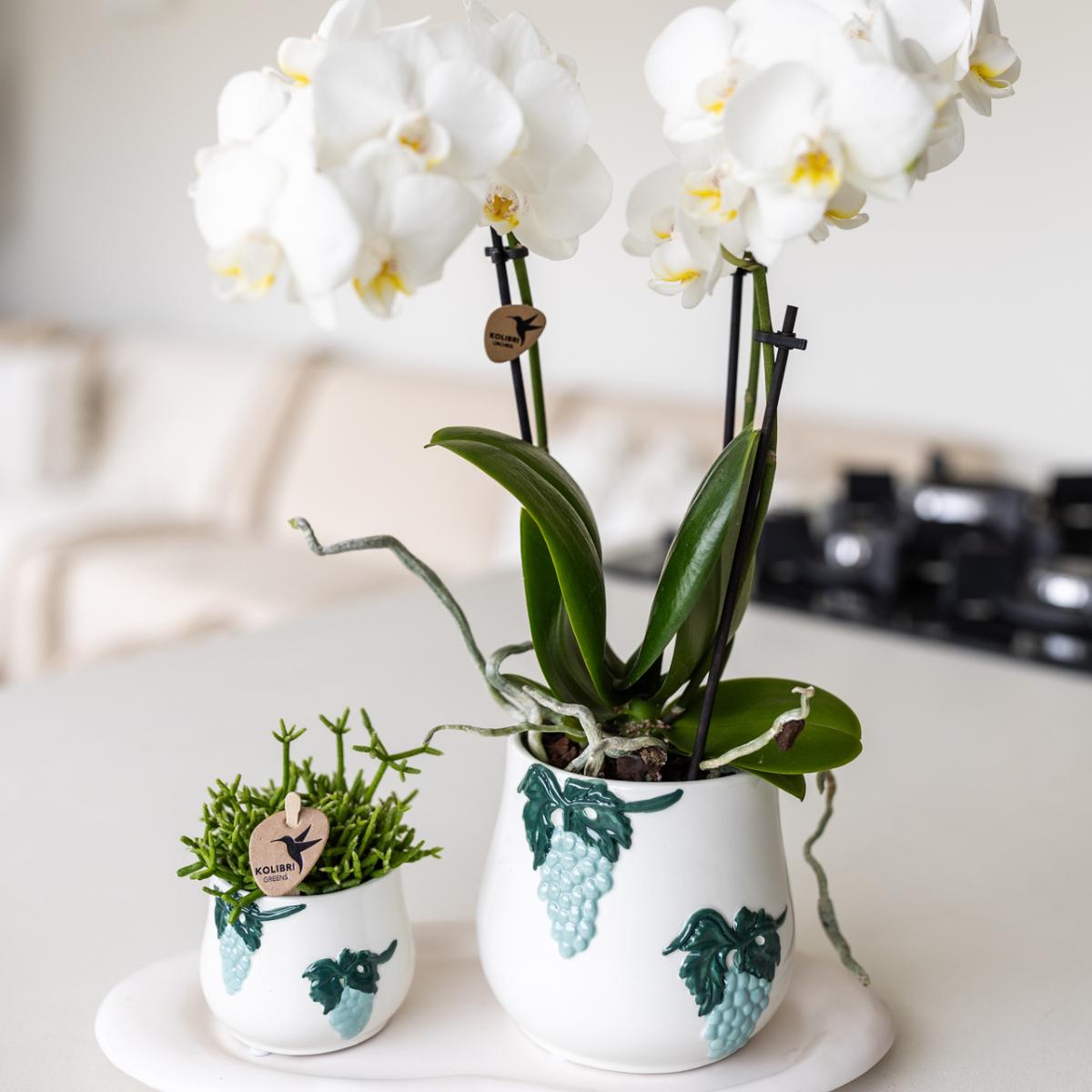 4 Plateaux Ovales En Bois - 8,8x17,5 Cm, Pour Tasses, Bougies Ou Petites Plantes, Déco Simple Et Naturelle - 10