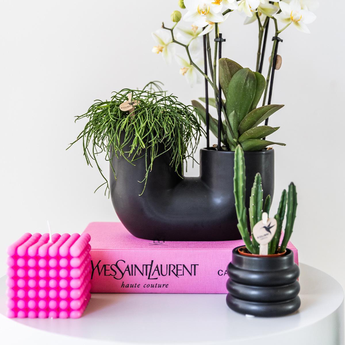 Livraison plante Pot décoratif en céramique Bubble noir