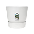 Livraison plante Pot Elho Greenville Blanc 30 cm