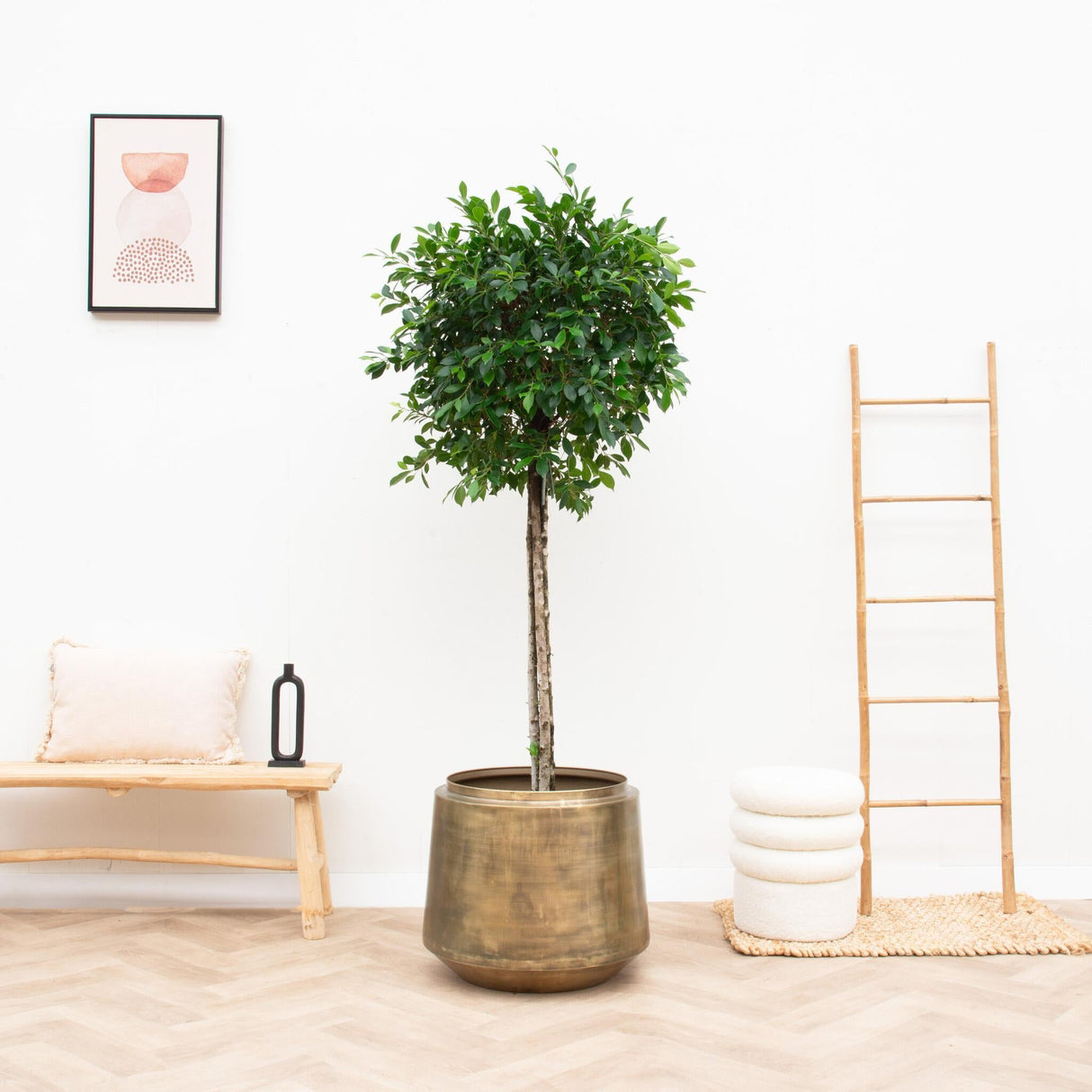 Livraison plante Pot Vintage Indigo Or 58 cm