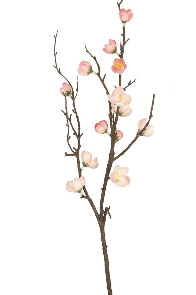 Livraison plante Prunus rose - Branche fleurie artificielle