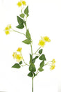 Livraison plante Renoncule - Branche fleurie artificielle