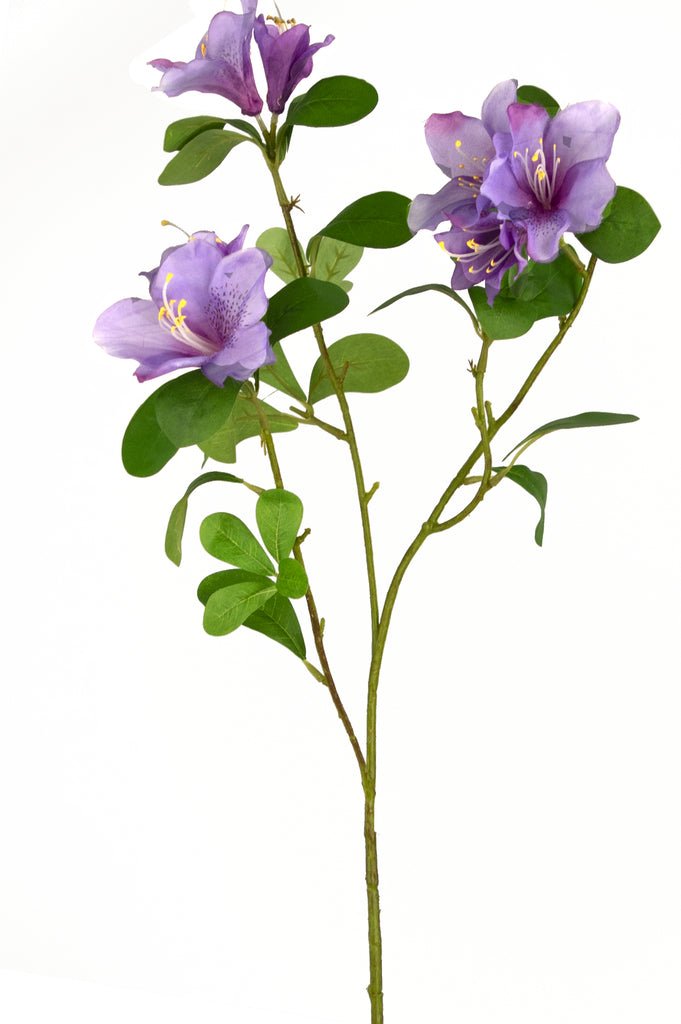 Livraison plante Rhododendron Azalée artificiel violet